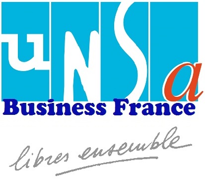 logo UNSA business france def